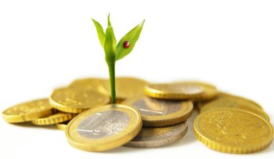 new growth from Euro coins - financial concept